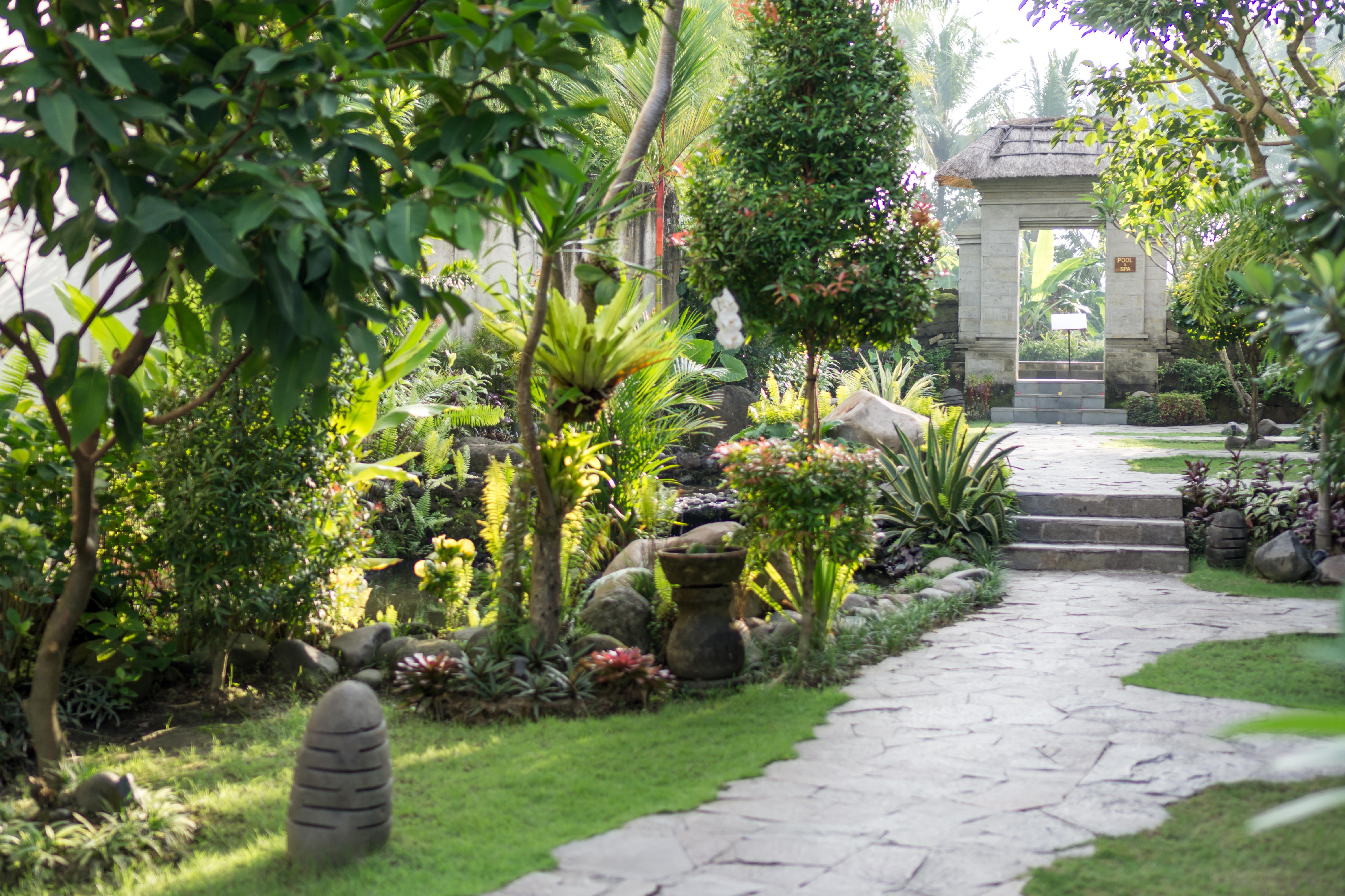 Radha Phala Resort & Spa Ubud Dış mekan fotoğraf