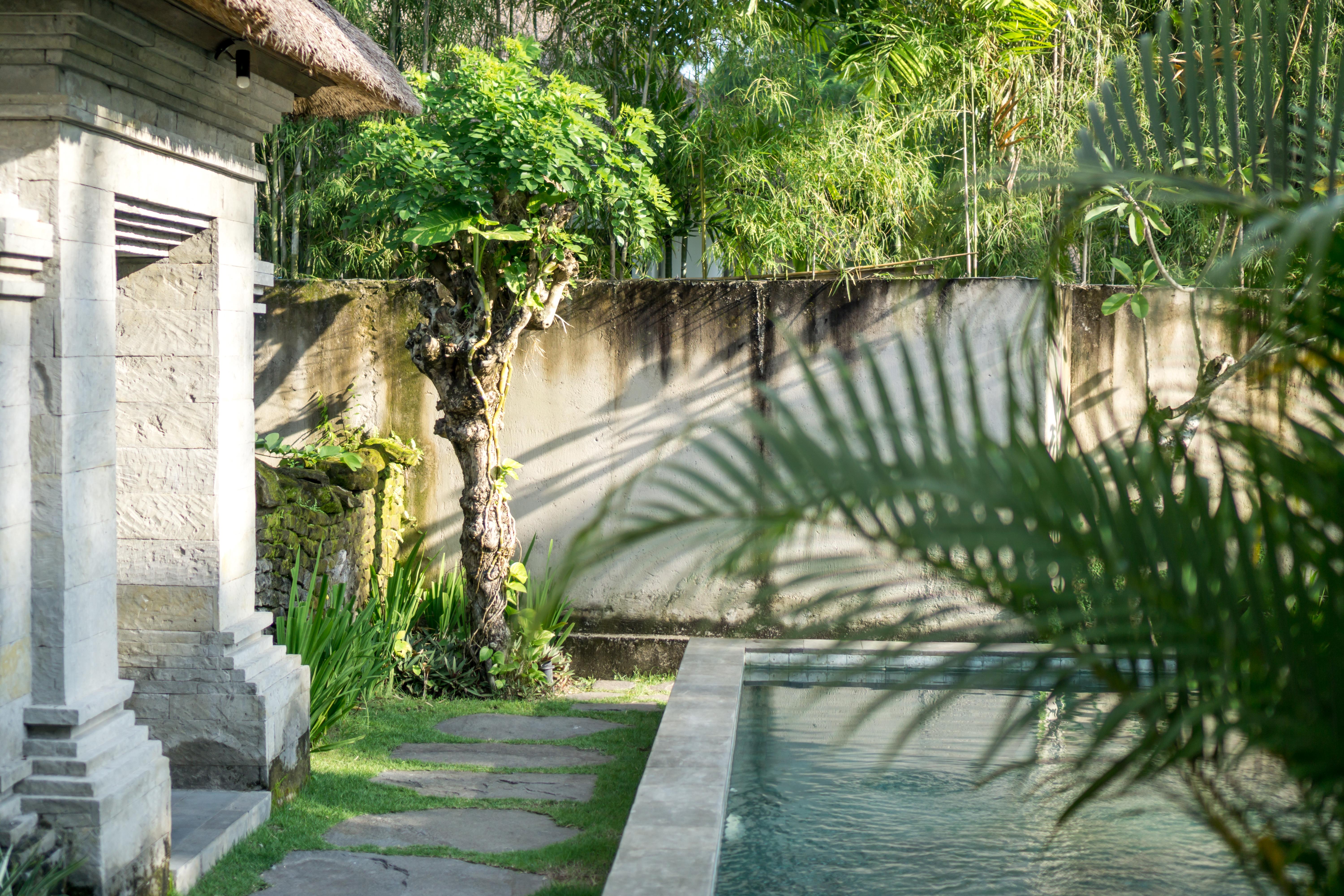 Radha Phala Resort & Spa Ubud Dış mekan fotoğraf